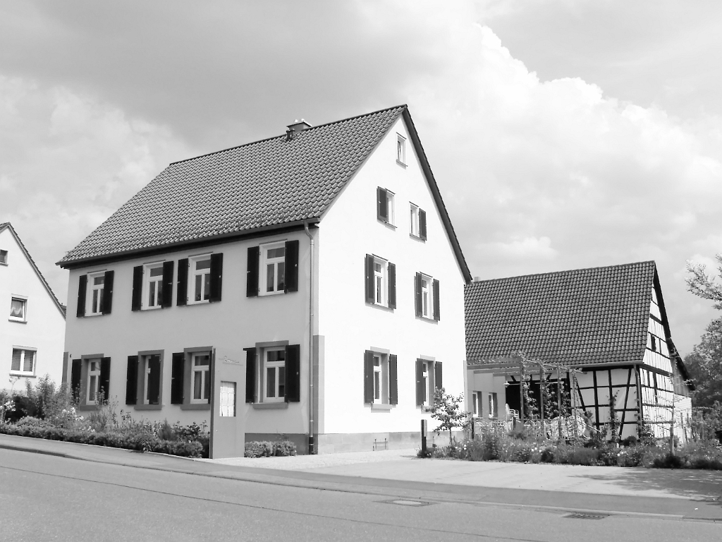 Rainer's Rosine, Flein